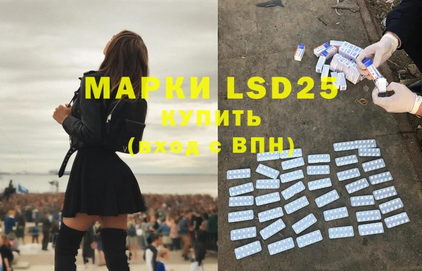 ГАЛЛЮЦИНОГЕННЫЕ ГРИБЫ Алзамай