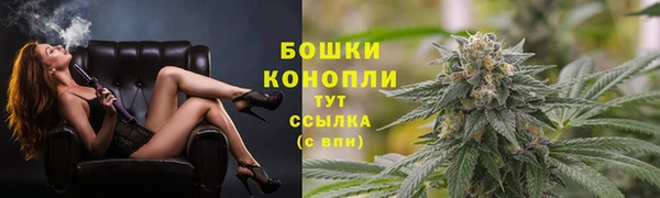 ГАЛЛЮЦИНОГЕННЫЕ ГРИБЫ Алзамай