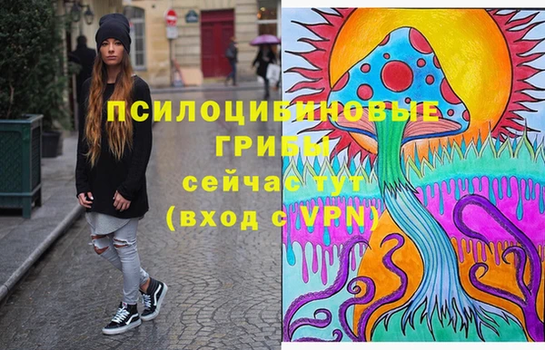 метадон Алексеевка