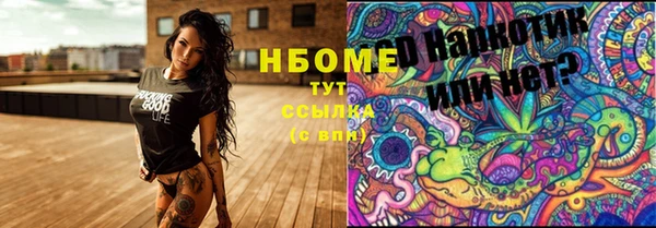 ГАЛЛЮЦИНОГЕННЫЕ ГРИБЫ Алзамай