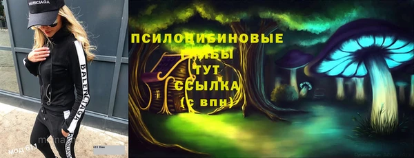 метадон Алексеевка